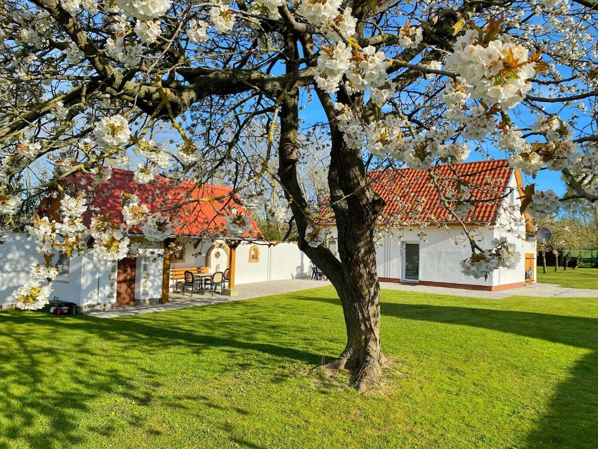 Ferienhaus Berta Сасниц Екстериор снимка